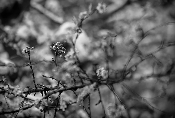 IMG_0148